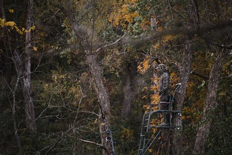 Best Hunting Forums: Top 18 Most Popular Hunting Forums – Cheli