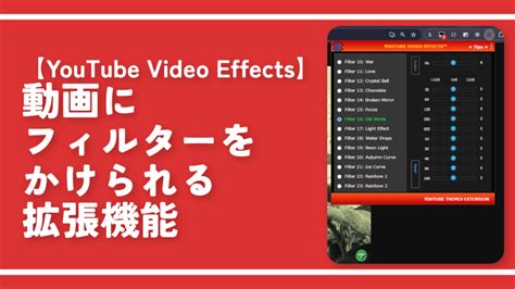 【youtube Zoom】動画内の一部を拡大・位置調整できる拡張機能 ナポリタン寿司のpc日記