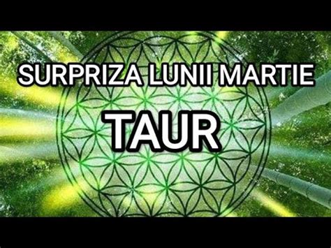 Taur Surpriza Lunii Martie Tarot Taur Martie Surpriza Youtube