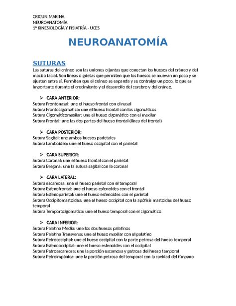 Neuro Neuroanatom A Kinesiolog A Y Fisiatr A Uces Neuroanatom A