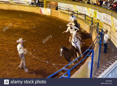 Charreada Stock Photos And Charreada Stock Images Alamy