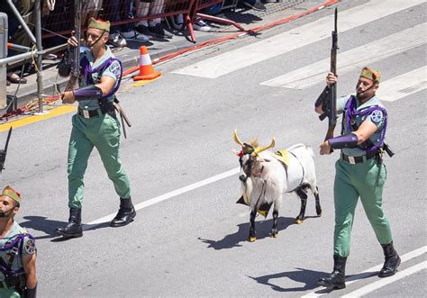 Fuerzas Armadas Julio C Sar La Cabra De La Legi N Que Ha Desfilado En