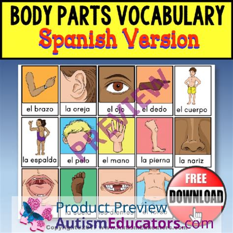 body parts vocabulary flashcards spanish