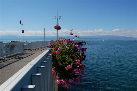 Panoramic View On Lake Geneva Free Photo Download Freeimages