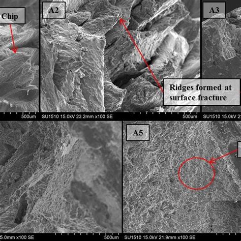 Sem Micrographs Showing The Fracture Surface Of The Tensile Profile