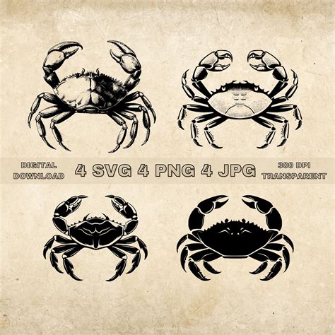 Crab SVG Bundle PNG Crab Clipart Hand Drawn Crabs Vector