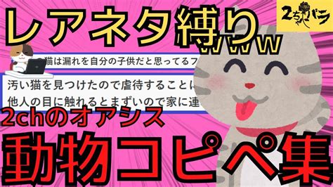 【2ch面白コピペ】ぬこネタ多め動物コピペ12個まとめてみた【ゆっくり】 Youtube