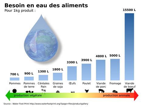 Schemas Eau Fonction Aliment Visuels L214