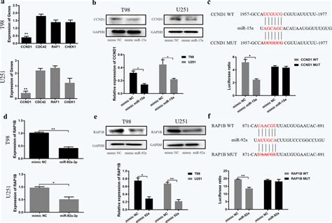 Target Gene Validation Of Mir 15a And Mir 92a Expression Of Selected Download Scientific