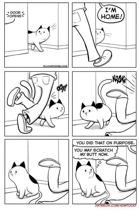 Pin By Rah Rah On Its A Funny World Cute Cats Cat Comics Cat Owners