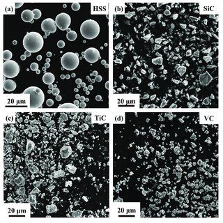 The Sem Secondary Electron Se Micrographs Of Raw Powders A Hss