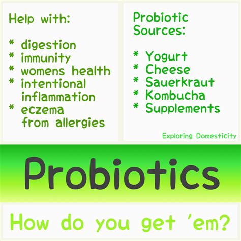 5 Ways To Get Your Probiotics {with Probioslim} ⋆ Exploring Domesticity