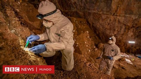 Cueva Del Chiquihuite El Hallazgo En M Xico Que Sugiere Que En Am Rica