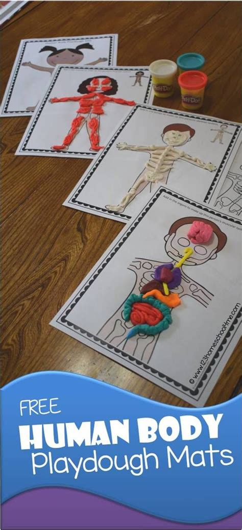 Free Human Body Playdough Mats These Are Such A Fun Hands On