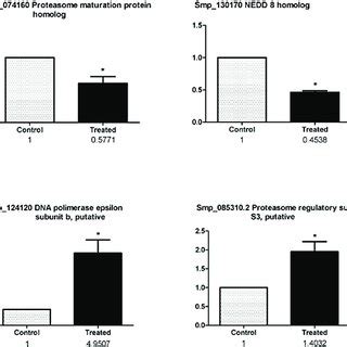 Microarray Results Validation By Real Time PCR Validation Is Shown For