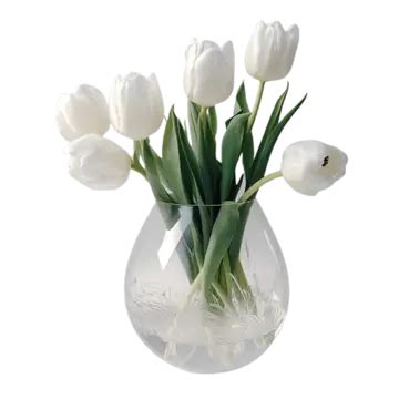 Flores De Tulipa No Vaso PNG Flor Tulipa Flor Bonita Flor Em Vaso