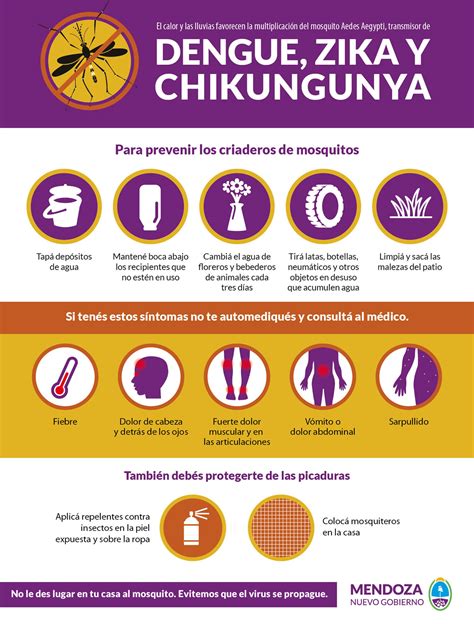 Dengue Chikungunya Y Zika