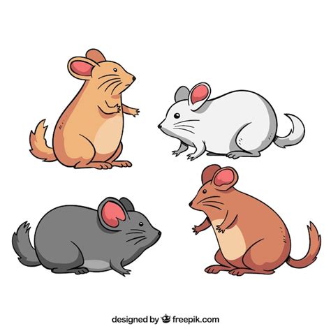 Premium Vector | Cute mice breed collection