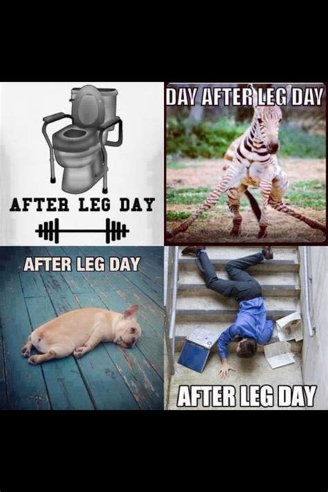 Leg Day Gym Humour Workout Humor Butt Workout Crossfit Humor Funny