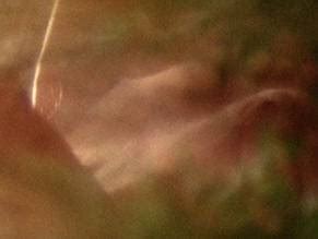 JENNIE LINDEN Nude AZNude