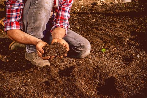 How to identify low soil organic matter - OrganicBiz