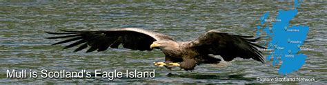 Isle of Mull Scotland its wildlife, history, accommodation and tourism ...