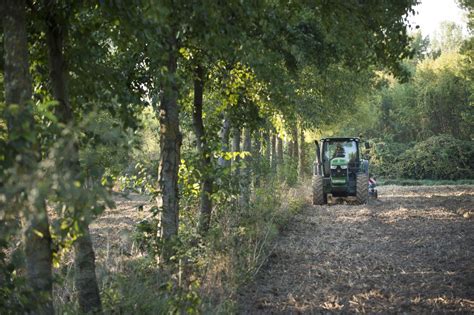 Évaluation du plan de développement de lagroforesterie 2015 2020