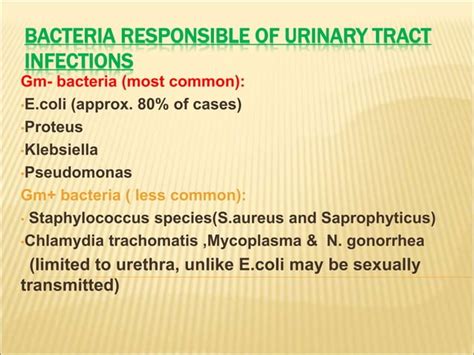 Urinary Tract Infections 1 Ppt Ppt