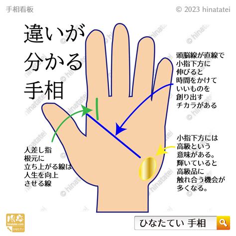 違いが分かる手相 ノート部372分室