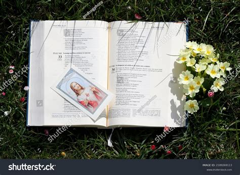 Open Bible On Grass Yellow Flowers Stock Photo 2189269113 | Shutterstock