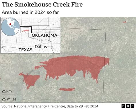 Texas Battles Second Biggest Wildfire In Us History Tree Frog Creative