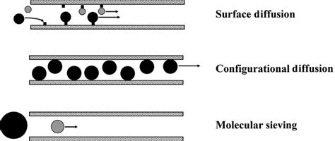 Transport Mechanism Thorough The Microporous Zeolite Membranes Pabby