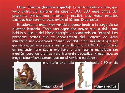 Evolución De Los Primates Y Hominidos