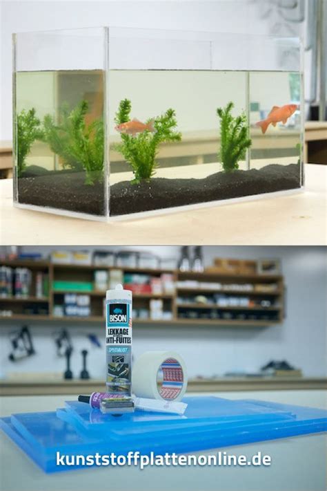 Plexiglas Aquarium Selber Bauen Kunststoffplattenonline De