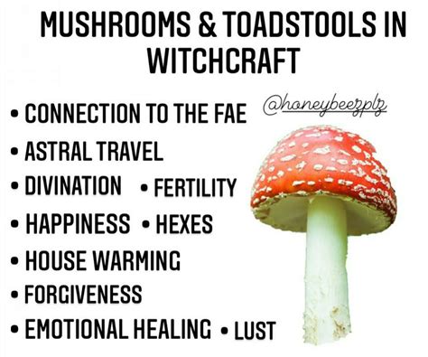 The Magickal Properties Of The Agaric Mushroom Artofit