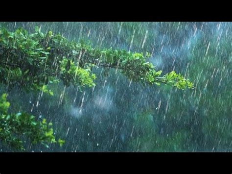 Heavy Rain Sounds With Thunderstorms For Sleeping Soothing Rain