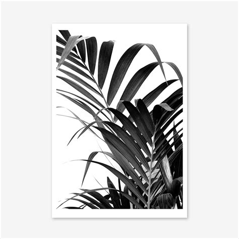 Palm Leaf 02 Art Print In 2021 Leaf Print Art Tropical Art Unframed