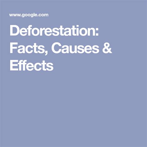 Deforestation Facts Causes Effects Deforestation Cause And