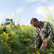 Agriculture De Conservation Des Sols Et Usages De Leau Fran Ois