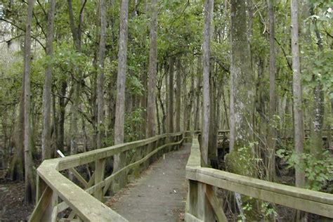 Mosaic Peace River Park Florida Hikes