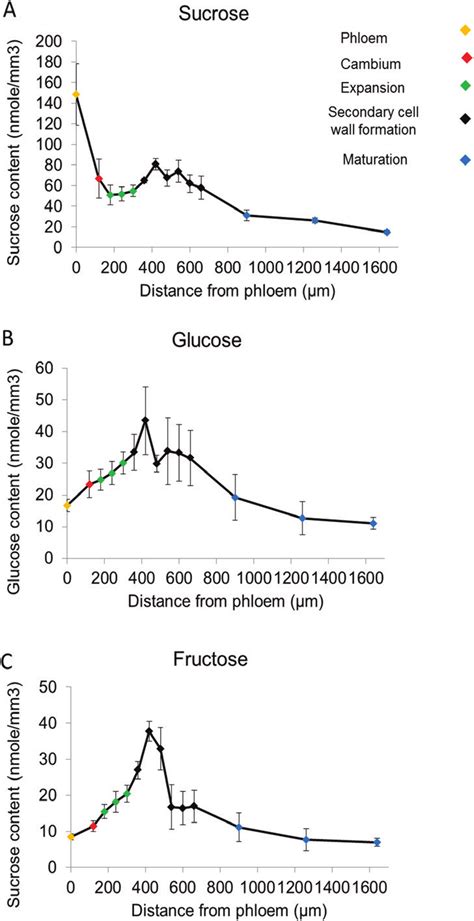 Analysis of sucrose, glucose, and fructose content in phloem and ...