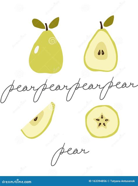 Pear Set Pear Whole Chopped Half Quarter Cut Slices Pear Leaves And