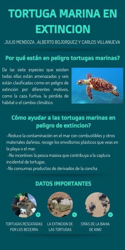 Tortugas Marinas Boletin Informativo