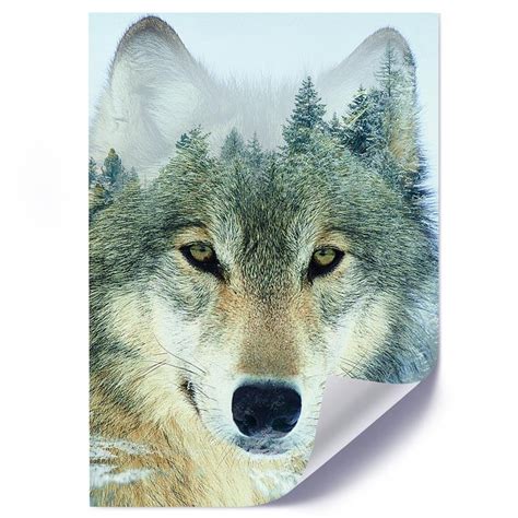 Plakat Poster FEEBY Wilk Na Tle Lasu Natura 40x50 Feeby Sklep