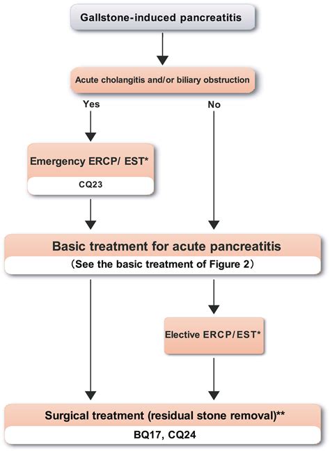 Jpn Clinical Practice Guidelines With Easytounderstand