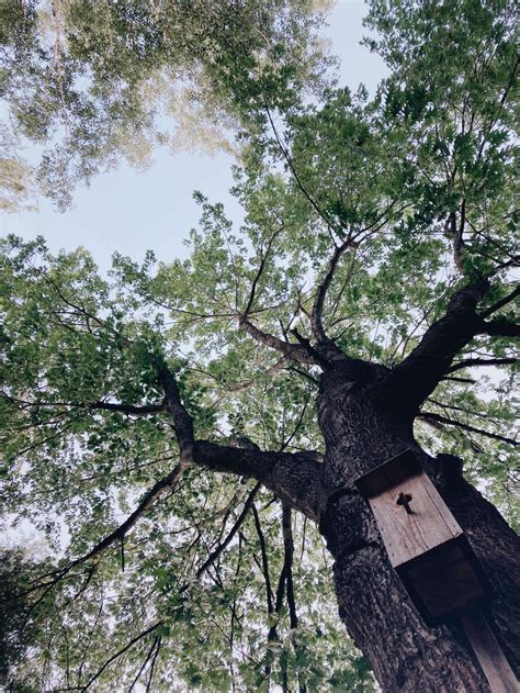 Мои жизненные принципы