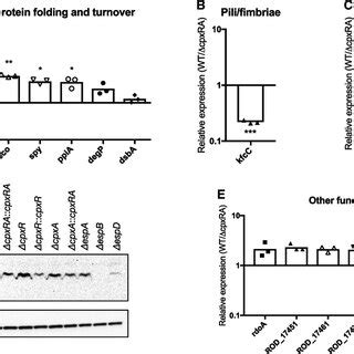 Comparison Of CpxAR S Effect On The C Rodentium Transcriptome And