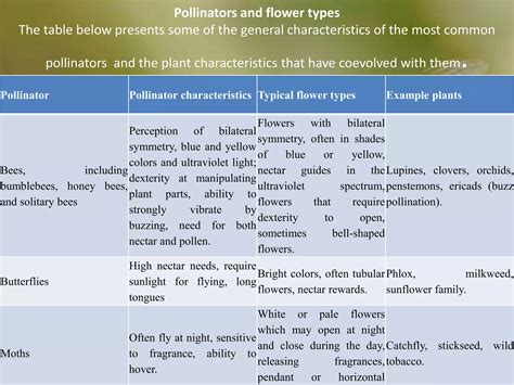 COEVOLUTION OF PLANT AND INSECT POLLINATORS | PPT