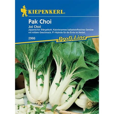 Pak Choi Samen G Nstiger Kaufen Bei Gradinamax At