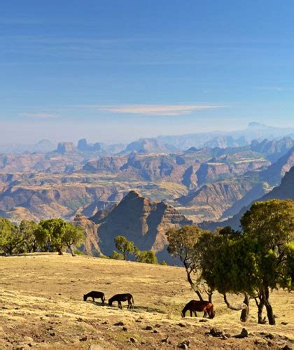 National Parks In Ethiopia - Taitu Tour And Safari